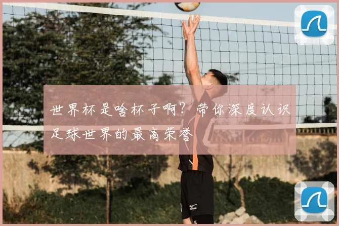世界杯是啥杯子啊?带你深度认识足球世界的最高荣誉
