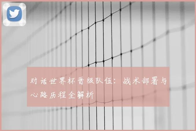 对话世界杯晋级队伍:战术部署与心路历程全解析