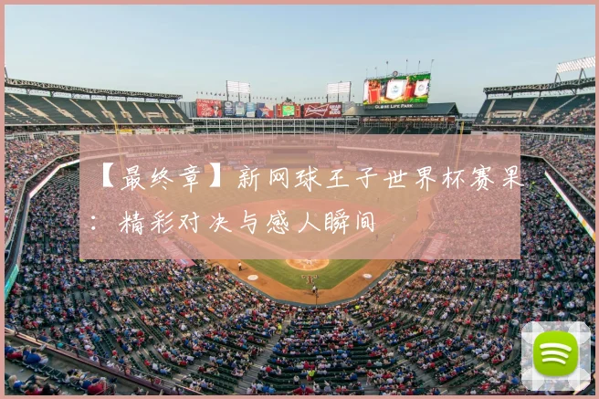 【最终章】新网球王子世界杯赛果：精彩对决与感人瞬间