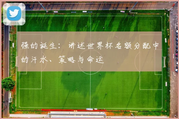强的诞生：讲述世界杯名额分配中的汗水、策略与命运
