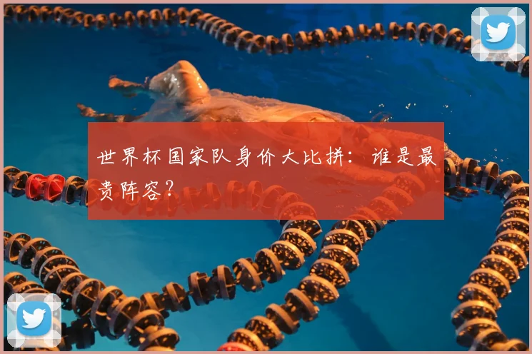 世界杯国家队身价大比拼：谁是最贵阵容？