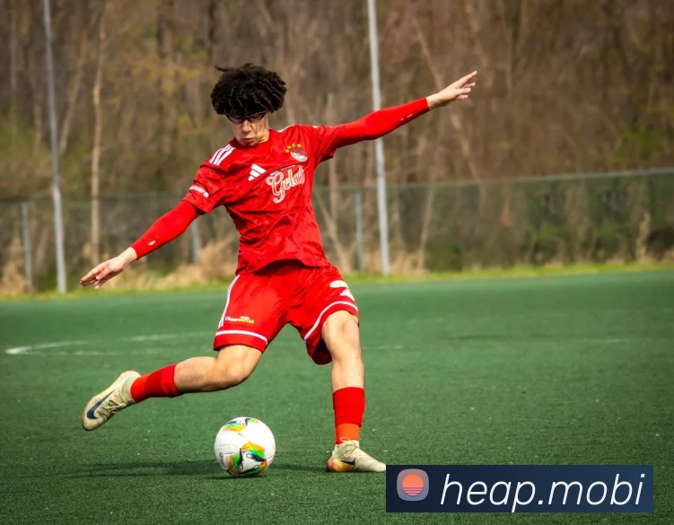 开云app在线入口网页版APP 封面图